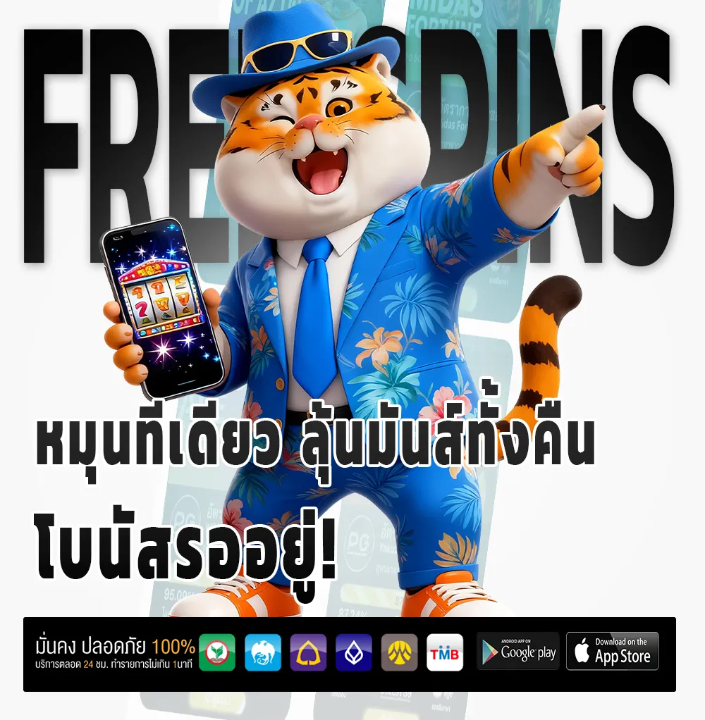 เล่น STFUN 24